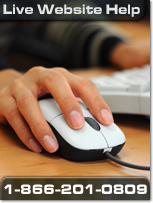 Toll-free Website Help and Support