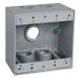 DD575S - 2G 3/4 Deep 5H WP Box - Hubbell--Raco