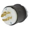 HBL2431ST - LKG Plug, 20A 3P 480V, L16-20P, ST - Wiring Device-Kellems