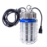 K5100 - *Delisted* 100W Led Temp LT 13000LM - Bergen Industries, Inc.