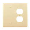 PJ138V - Wallplate 2G Duplex/Blank Poly Mid Iv - Eaton