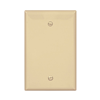 PJ13V - Wallplate 1G Blank Box Mount Poly Mid Iv - Eaton