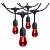 S8033R1 - 48' Led String Light RGBW W/Irr 27K-5K - Satco
